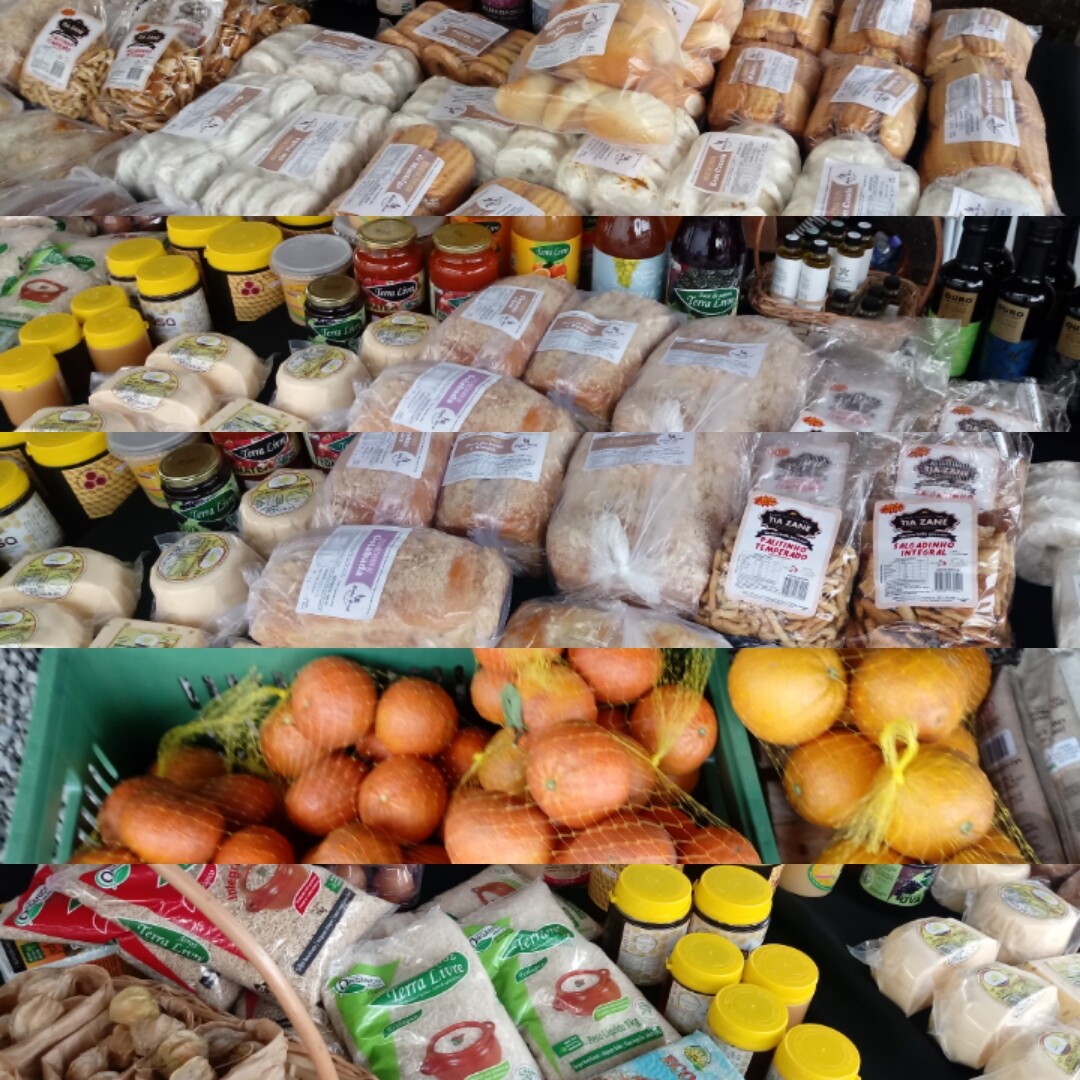 projeto-da-prefeitura-levara-produtores-de-agroindustrias-para-visita-tecnica-na-expointer