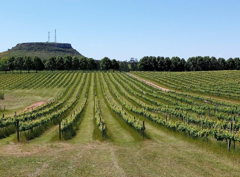 voce-sabia-que-nosso-municipio-abrange-uma-indicacao-geografica