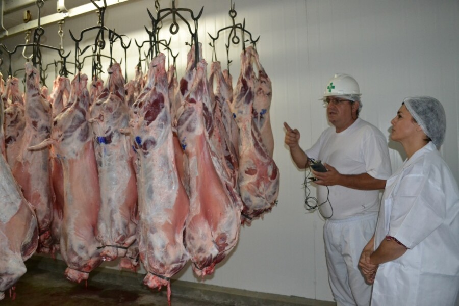 secretaria-municipal-de-agricultura-visita-frigorifico-estancia