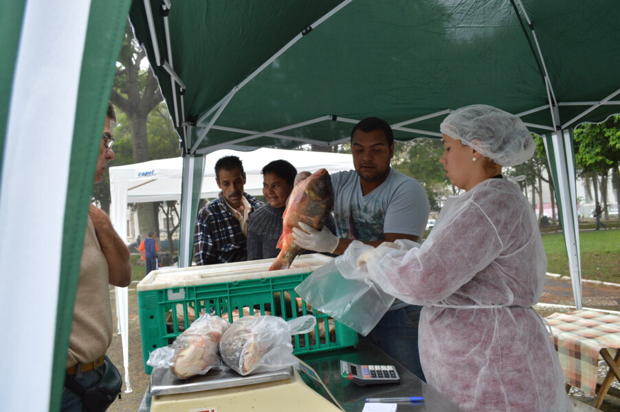feira-do-peixe-acontece-nesta-quarta-e-quinta-feira-na-praca-general-osorio