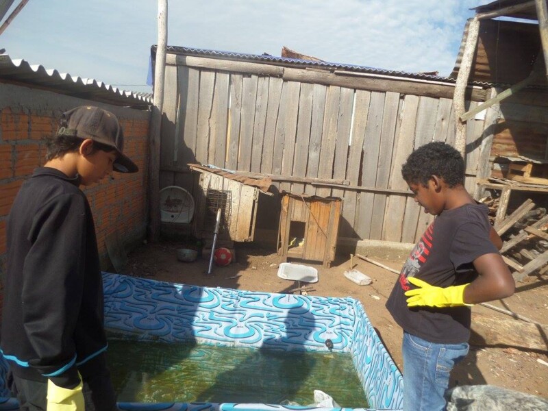 em-acao-conjunta-alunos-da-escola-pedro-alencastre-realizam-acao-contra-a-dengue-na-vila-real