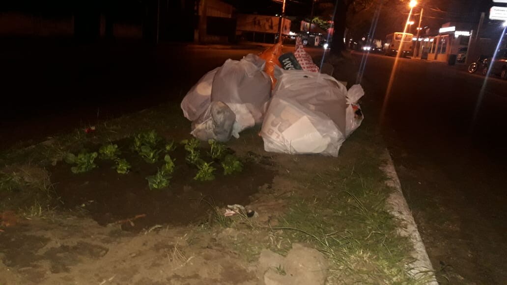 lixo-nos-canteiros-denuncie